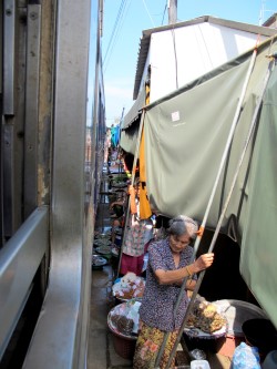 Train sneaking through market stalls