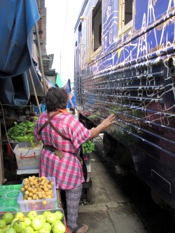 Vendors standing in between the train and the market-stalls